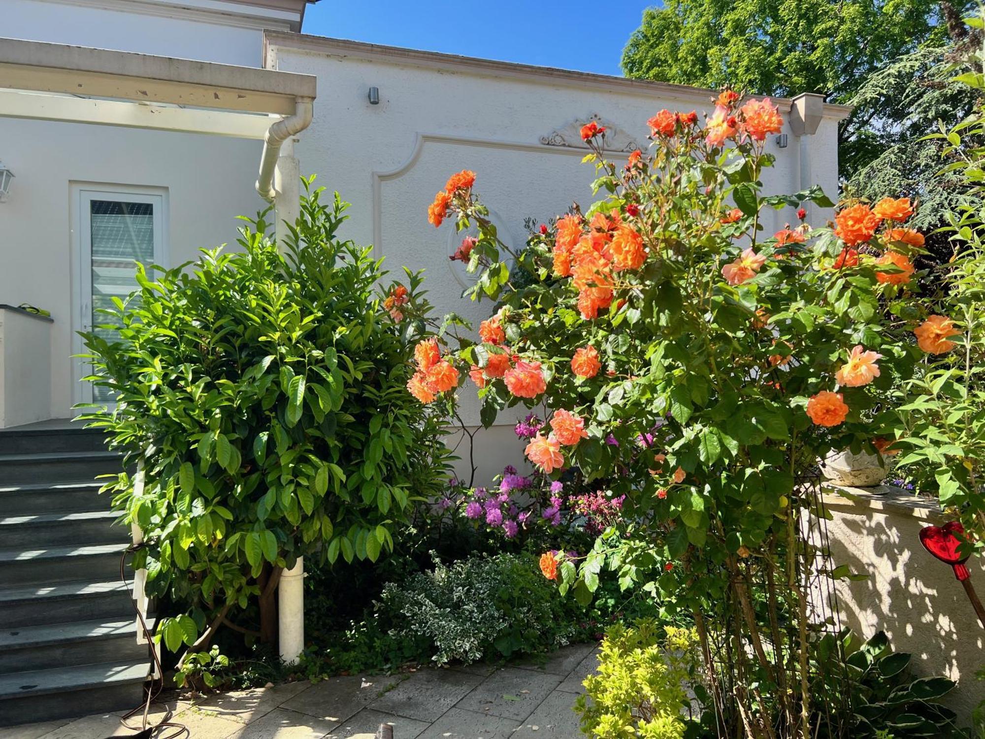 Villa Rosengarten Auf Der Sonneninsel Femern Værelse billede